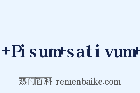 +Pisum+sativum+是什么意思的图片